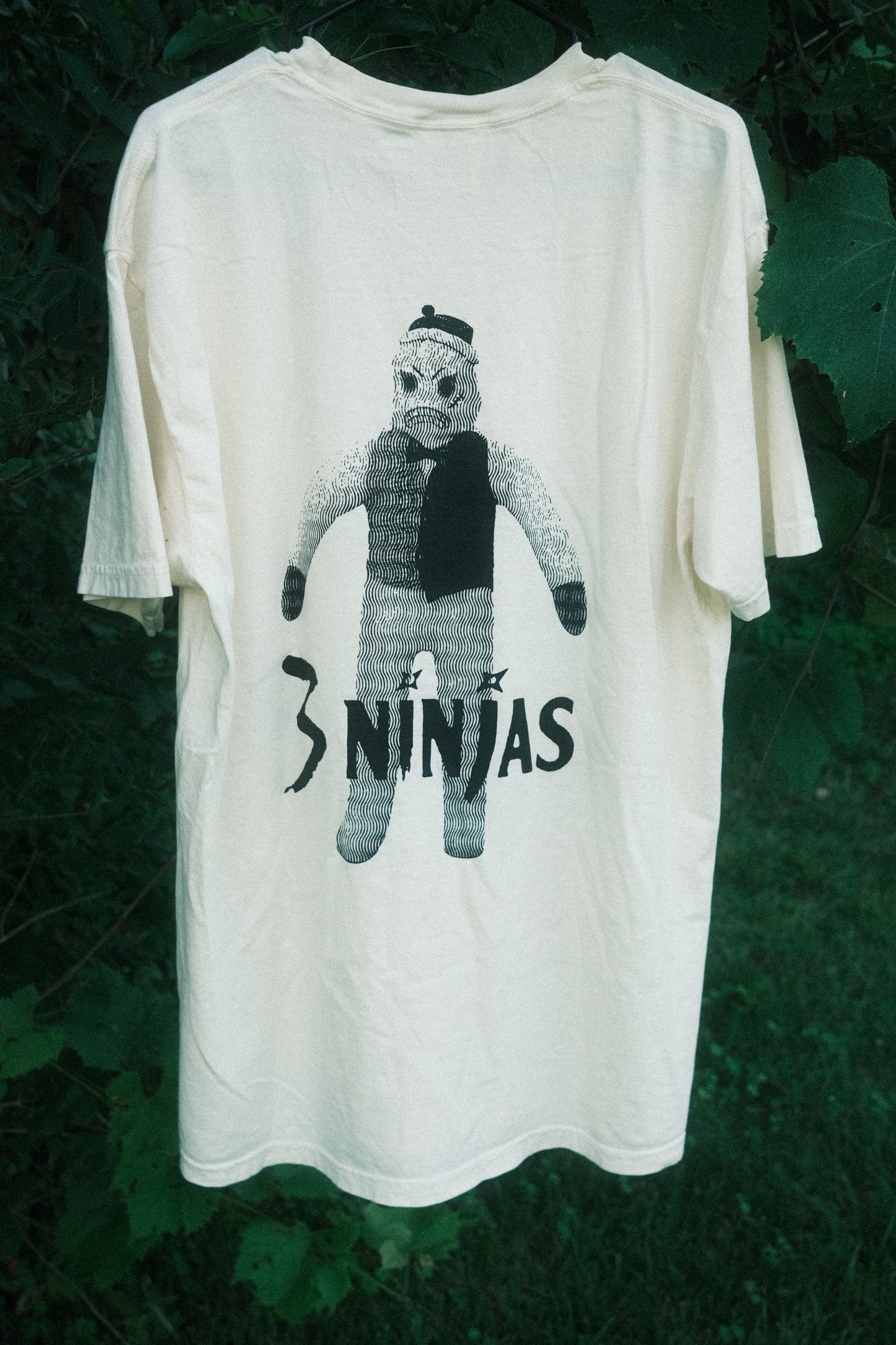 3 Ninjas 1992 on Ivory