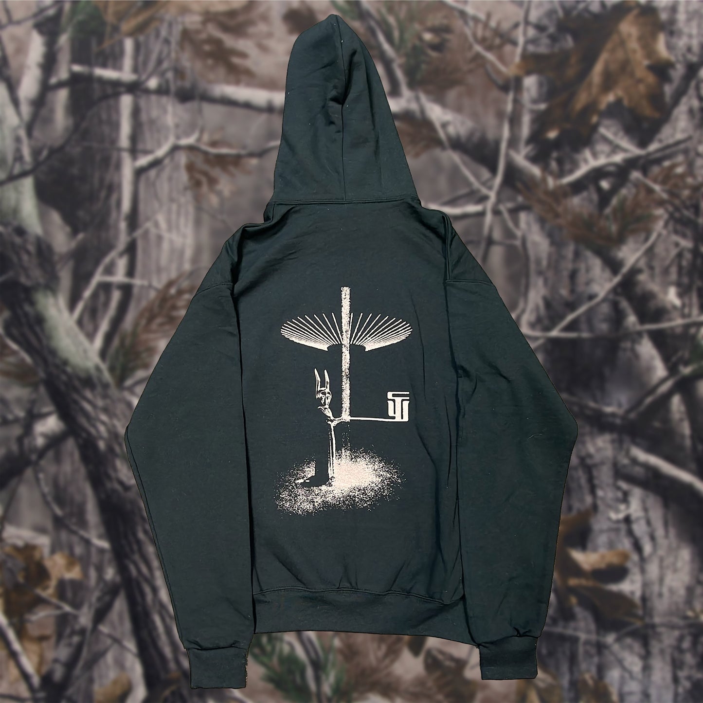 Light Collector Hoodie